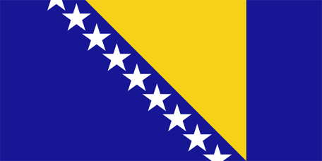 Bosnien och Herçegovinas flagga