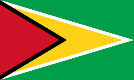 Guyanas flagga